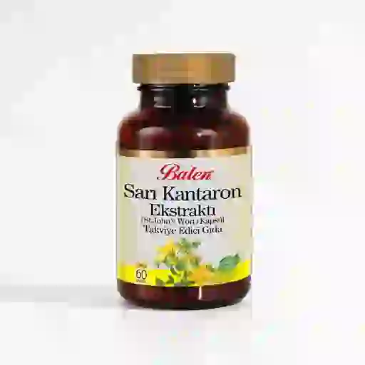 Sarı Kantaron